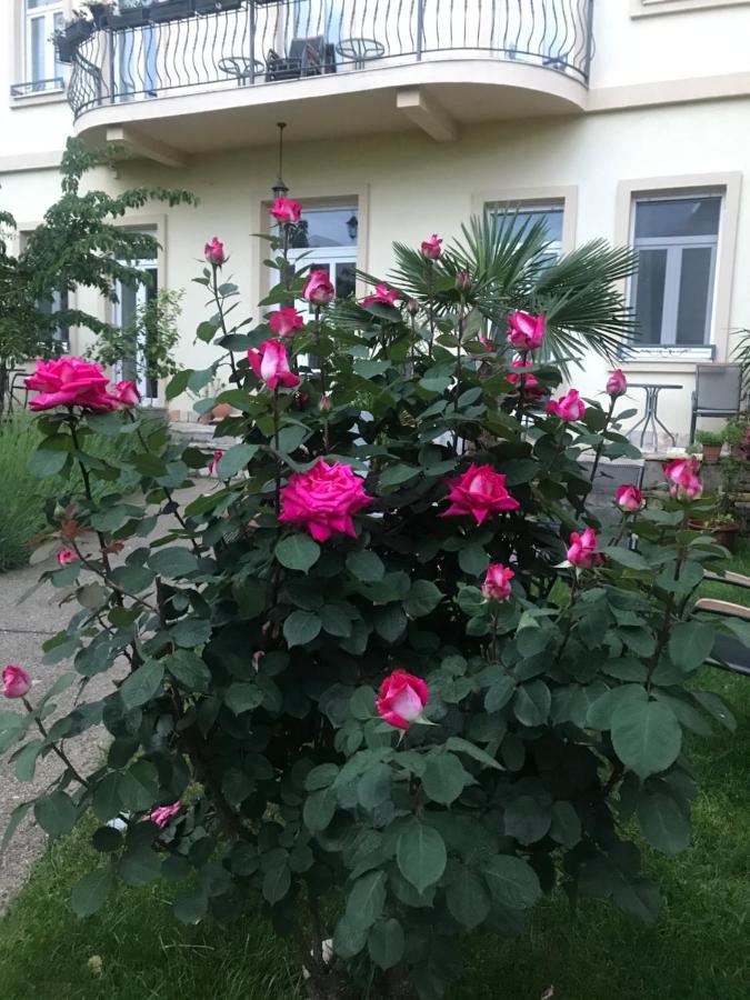 Aurelia Rooms Mostar Eksteriør bilde